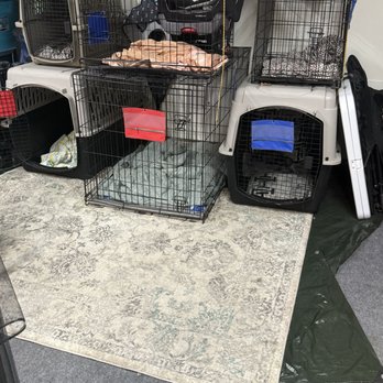 Laney’s Home Pet Spaw - Pet Groomers Near Me - Garland, Texas Laney’s Home Pet Spaw - Pet Groomers Near Me - Garland, Texas