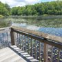 Photo of Tillinghast Pond Management Area