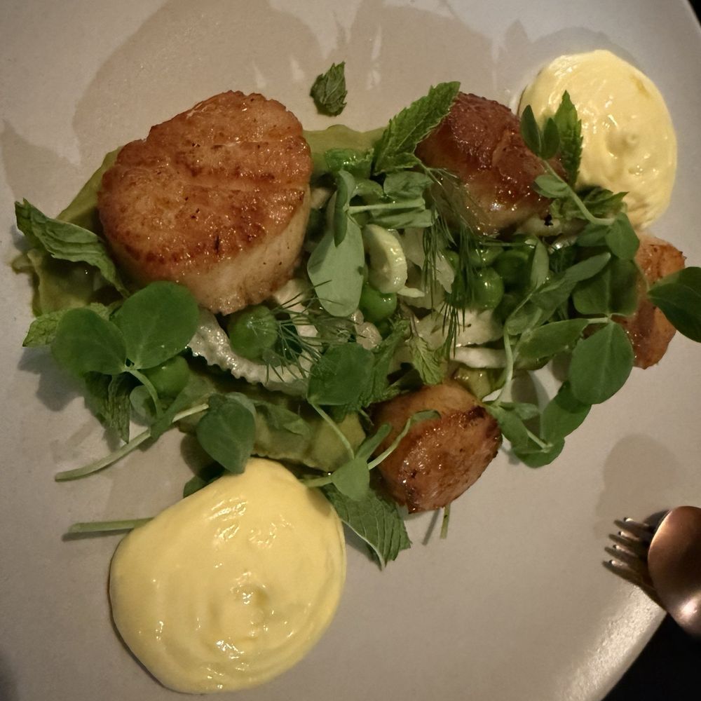 Lele Kitchen - Scallops - Wine Bars Near Me - Los Gatos, California Lele Kitchen - Scallops - Wine Bars Near Me - Los Gatos, California