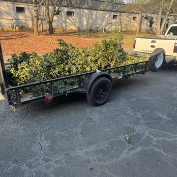 Cash Junk Removal and Moving - Junk Removal & Hauling Near Me - Athens, Georgia Cash Junk Removal and Moving - Junk Removal & Hauling Near Me - Athens, Georgia