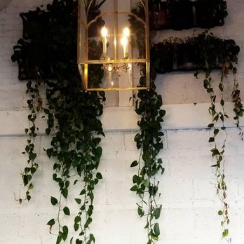 Perennial - Coffee & Tea Near Me - Chapel Hill, North Carolina Perennial - Coffee & Tea Near Me - Chapel Hill, North Carolina