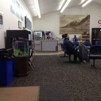 Alaska Marine Highway Ferry System - Love the fish tank on the left! - Ferries Near Me - Juneau, Alaska Alaska Marine Highway Ferry System - Love the fish tank on the left! - Ferries Near Me - Juneau, Alaska