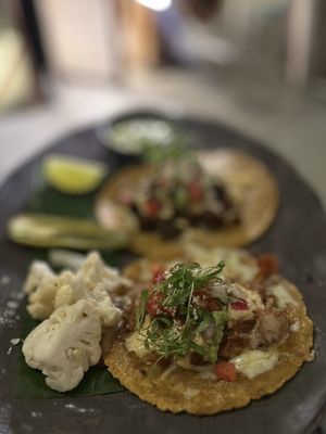 Flecha Cantina by null