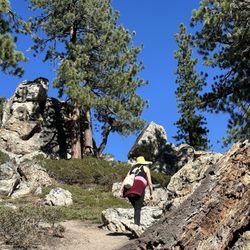 Castle Rock Trailhead