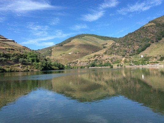 Ânima Durius by null