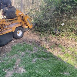 The Grinder Guys Stump Grinding - Came out to my yard and did a great job i would  recommend working with him