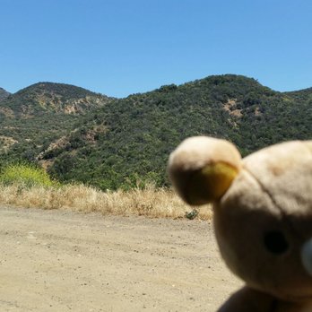 Teto's Produce - Santa Monica Mountains - Fruits & Veggies Near Me - Oxnard, California