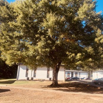 Starlawns Landscaping - Welcome fall - Landscaping Near Me Starlawns Landscaping - Welcome fall - Landscaping Near Me