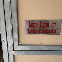 Paradise Ranch - Luna Lynn, Lovable Troublemaker.