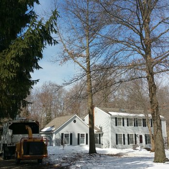 TAZ Tree Service - Tree Services Near Me - Chagrin Falls, Ohio TAZ Tree Service - Tree Services Near Me - Chagrin Falls, Ohio