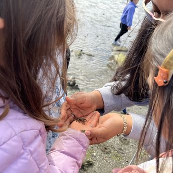 Terra Schools - Learning more about a little crab our students found during earth education. - Elementary Schools Near Me - San Francisco, California Terra Schools - Learning more about a little crab our students found during earth education. - Elementary Schools Near Me - San Francisco, California