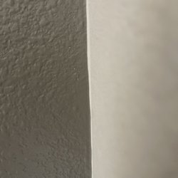 MSD painting services
