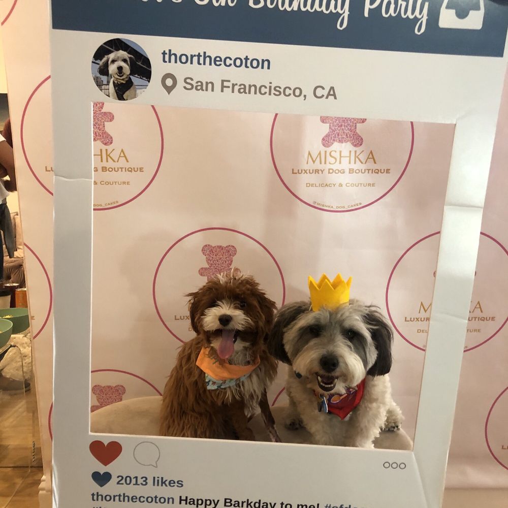 Mishka - Pet Stores Near Me - San Francisco, California Mishka - Pet Stores Near Me - San Francisco, California
