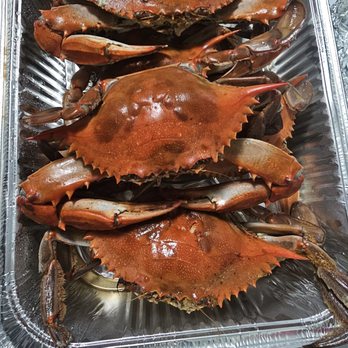 Phil's Live Crabs - Beautiful Jumbo Males - Seafood Markets Near Me - Philadelphia, Pennsylvania Phil's Live Crabs - Beautiful Jumbo Males - Seafood Markets Near Me - Philadelphia, Pennsylvania