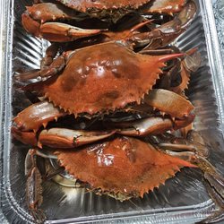 Phil's Live Crabs - Beautiful Jumbo Males
