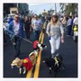 Photo of Port Jefferson Harvest Festival 2016