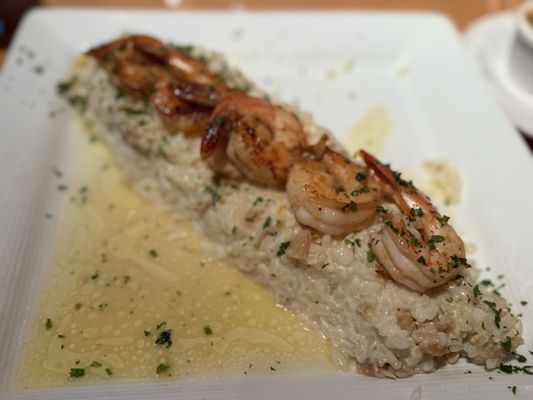 Bimini Twist by null