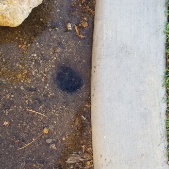 Landscape Science - Sprinkler they removed when installing drip lines, nothing was done to cap the pipe from the valve so it just gushed every night. - Landscaping Near Me Landscape Science - Sprinkler they removed when installing drip lines, nothing was done to cap the pipe from the valve so it just gushed every night. - Landscaping Near Me