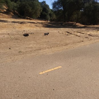 Bannister Park - Parks Near Me - Fair Oaks, California