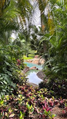 Aquatica Orlando by null