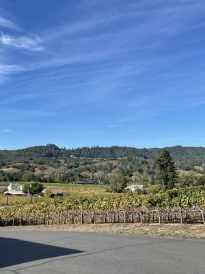 Papapietro Perry Winery by null