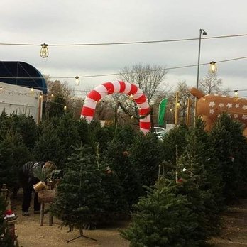 Reindeer Ranch - Home Decor Near Me - Denver, Colorado