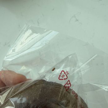 85°C Bakery Cafe-Jurupa Valley - Disgusting pest inside - Bakeries Near Me - Jurupa Valley, California 85°C Bakery Cafe-Jurupa Valley - Disgusting pest inside - Bakeries Near Me - Jurupa Valley, California