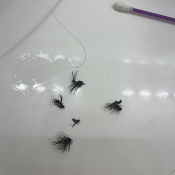 EM Lash Studio Iaveen - Ripped it off as soon as I reached home very heavy and crunchy and clumpy, - Skin Care Near Me - Phoenix, Arizona