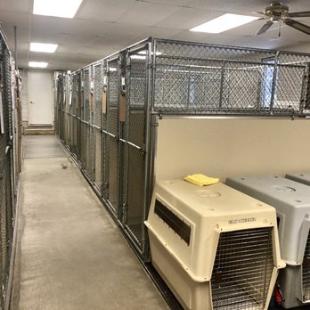 sandy pines boarding kennel inc