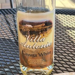 Villa Antonio Winery - Cayuga white