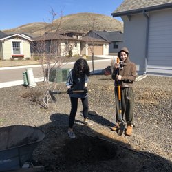 Arbor Farms Nursery - OK, they are on it!!!