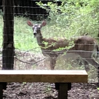 Lady Bird Johnson Dog Park - Dog Parks Near Me - San Antonio, Texas