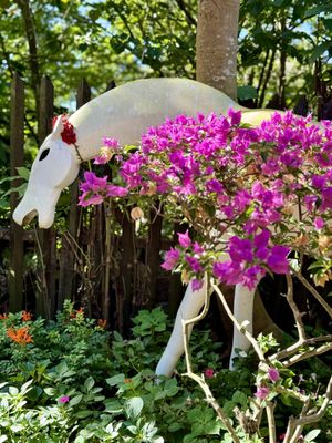 Sonya's Garden by null