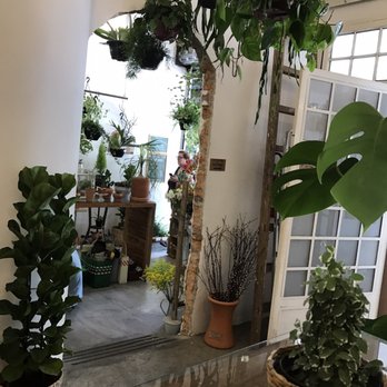 Jardin Plantas e Flores - O café é cheio de plantas - Cafes Near Me - São Paulo, SP Jardin Plantas e Flores - O café é cheio de plantas - Cafes Near Me - São Paulo, SP