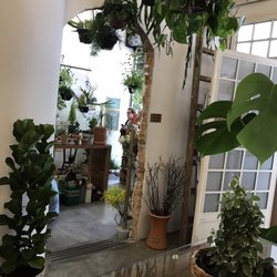 Jardin Plantas e Flores - O café é cheio de plantas