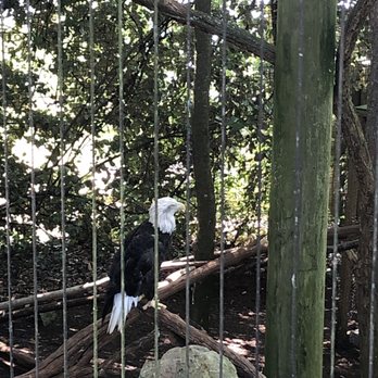 Montgomery Zoo - Zoos Near Me - Montgomery, Alabama