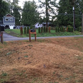 Bruiser's Tree Service - After! - Tree Services Near Me