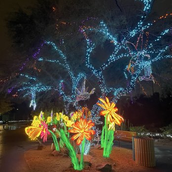 Zoolights - So many lights - Zoos Near Me - Phoenix, Arizona