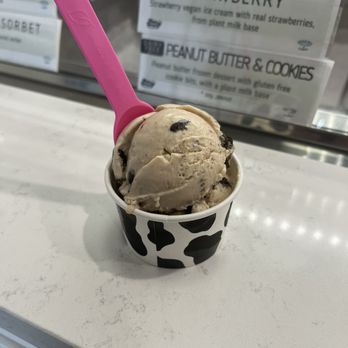 Main Street Creamery - Kid's Peanut Butter & Cookies (dairy free) - Ice Cream & Frozen Yogurt Near Me - Sarasota, Florida