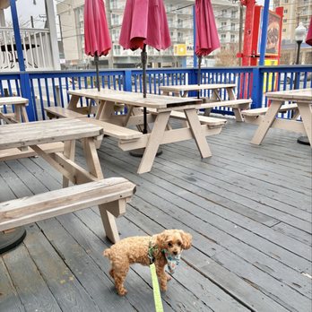 Sharkys Grill - American Near Me - Ocean City, Maryland