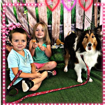 Bubbles N Bows Pet Grooming - Pet Groomers Near Me - Fort Lupton, Colorado Bubbles N Bows Pet Grooming - Pet Groomers Near Me - Fort Lupton, Colorado