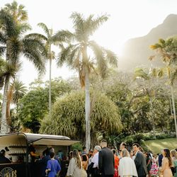 Tiny Bubbles Mobile Bar Services - Aesthetic, affordable, professional and SO friendly!