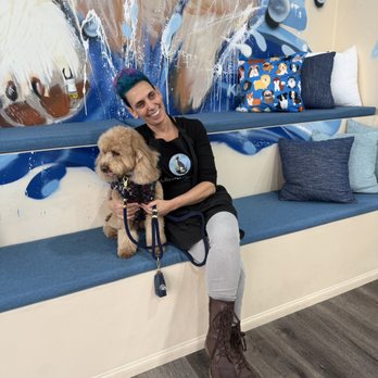 Hollywood Pet Center - Pet Stores Near Me - Burbank, California Hollywood Pet Center - Pet Stores Near Me - Burbank, California