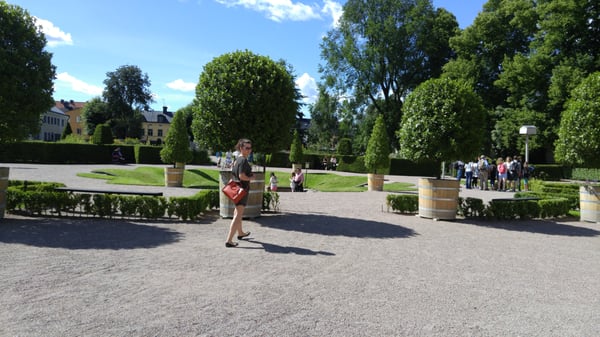 Linnaeus garden by null
