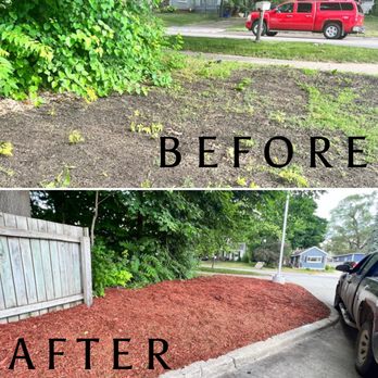 Lawn Critters - before and after - Lawn Services Near Me
