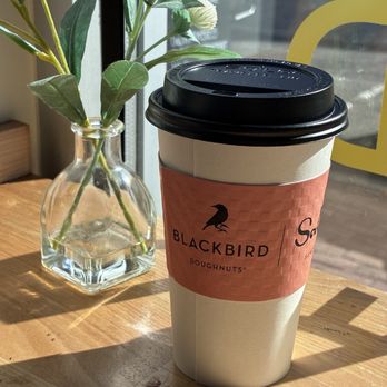Blackbird Doughnuts - Newton Centre - Donuts Near Me - Newton, Massachusetts Blackbird Doughnuts - Newton Centre - Donuts Near Me - Newton, Massachusetts