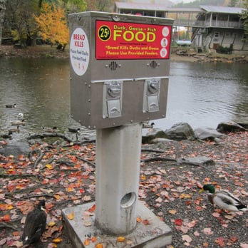 Oconaluftee Islands Park - floating food dispenser--25 cents per handful - Parks Near Me - Cherokee, North Carolina