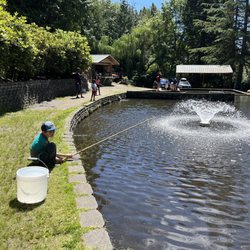 Gold Creek Trout Farm