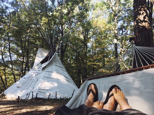 Magic Forest Farm by null