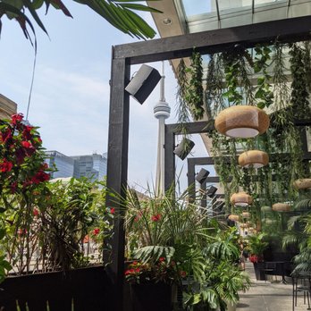 Chotto Matte - Patio w/ view of CN tower - Japanese Near Me - Toronto, Ontario